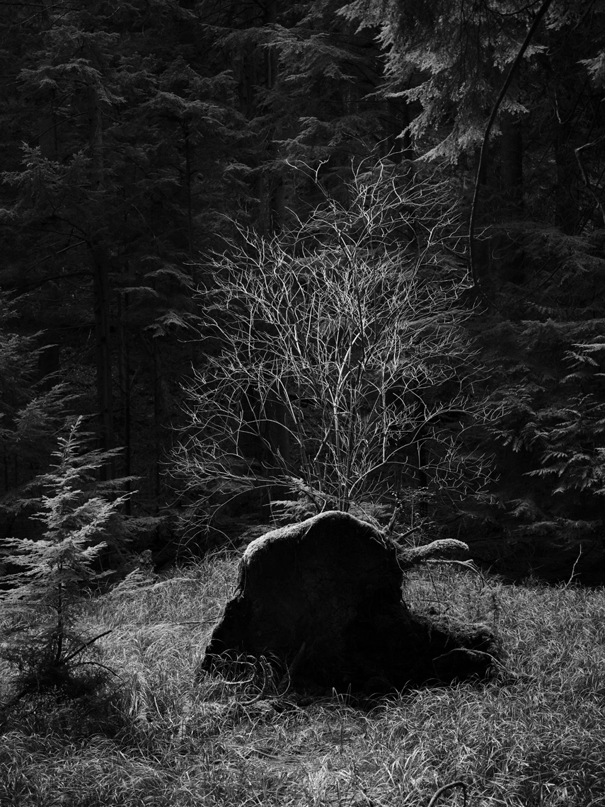 Orcas_Island_Christopher_Starbody_16